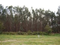 00 Brownes Road, STOCKDALE VIC, Stockdale - Image 1