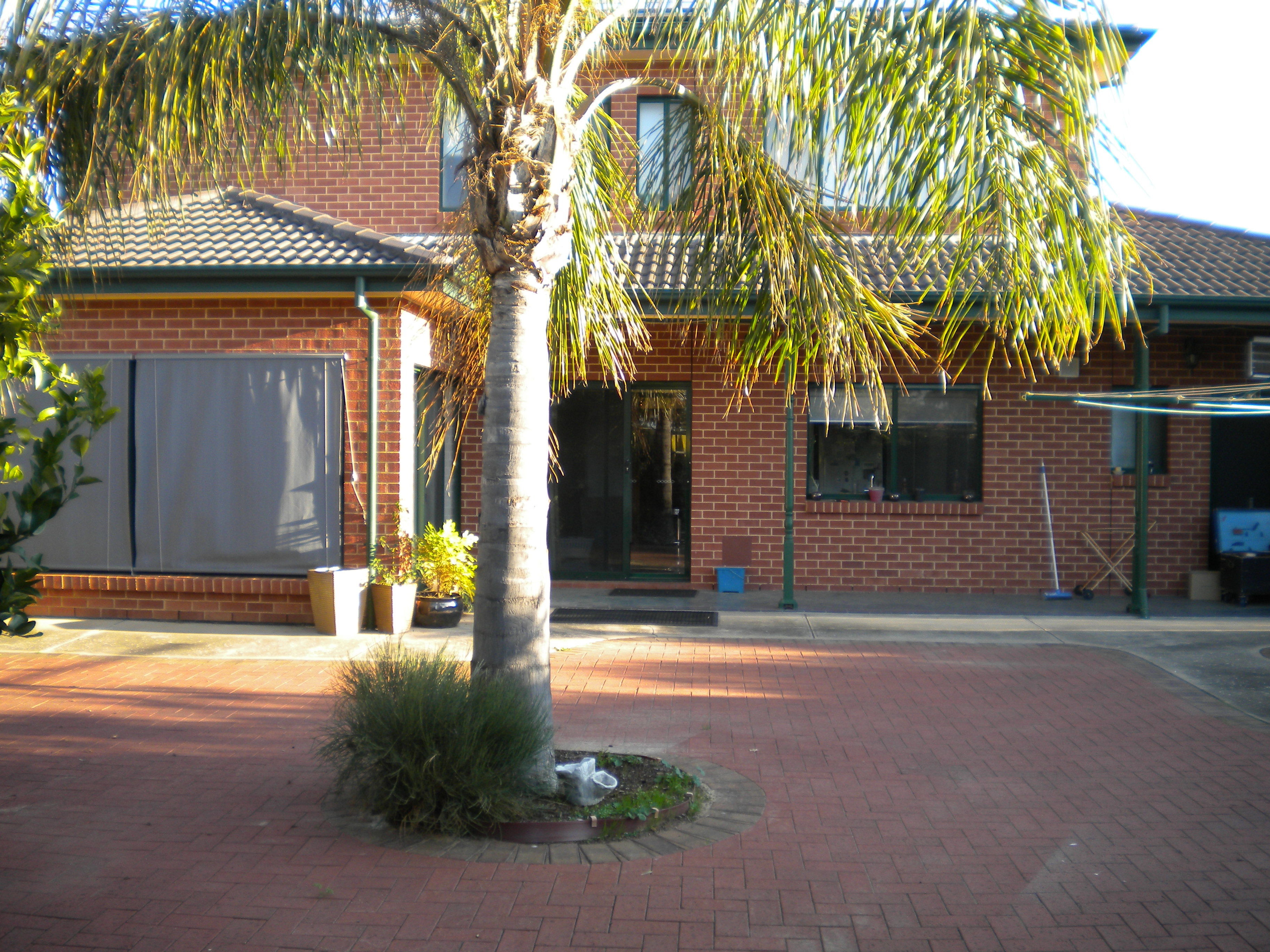 4  Wychwood Court  Findon 5023