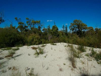 Summerhill Drive, PORT SORELL, Port Sorell - Thumbnail 5
