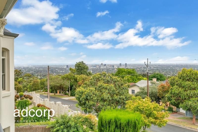 74 Dashwood Road Beaumont SA, Beaumont - Thumbnail 4