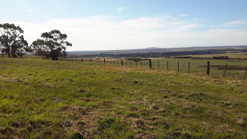 1130 Winchelsea-Deans Marsh Road BAMBRA VIC, Bambra - Thumbnail 5