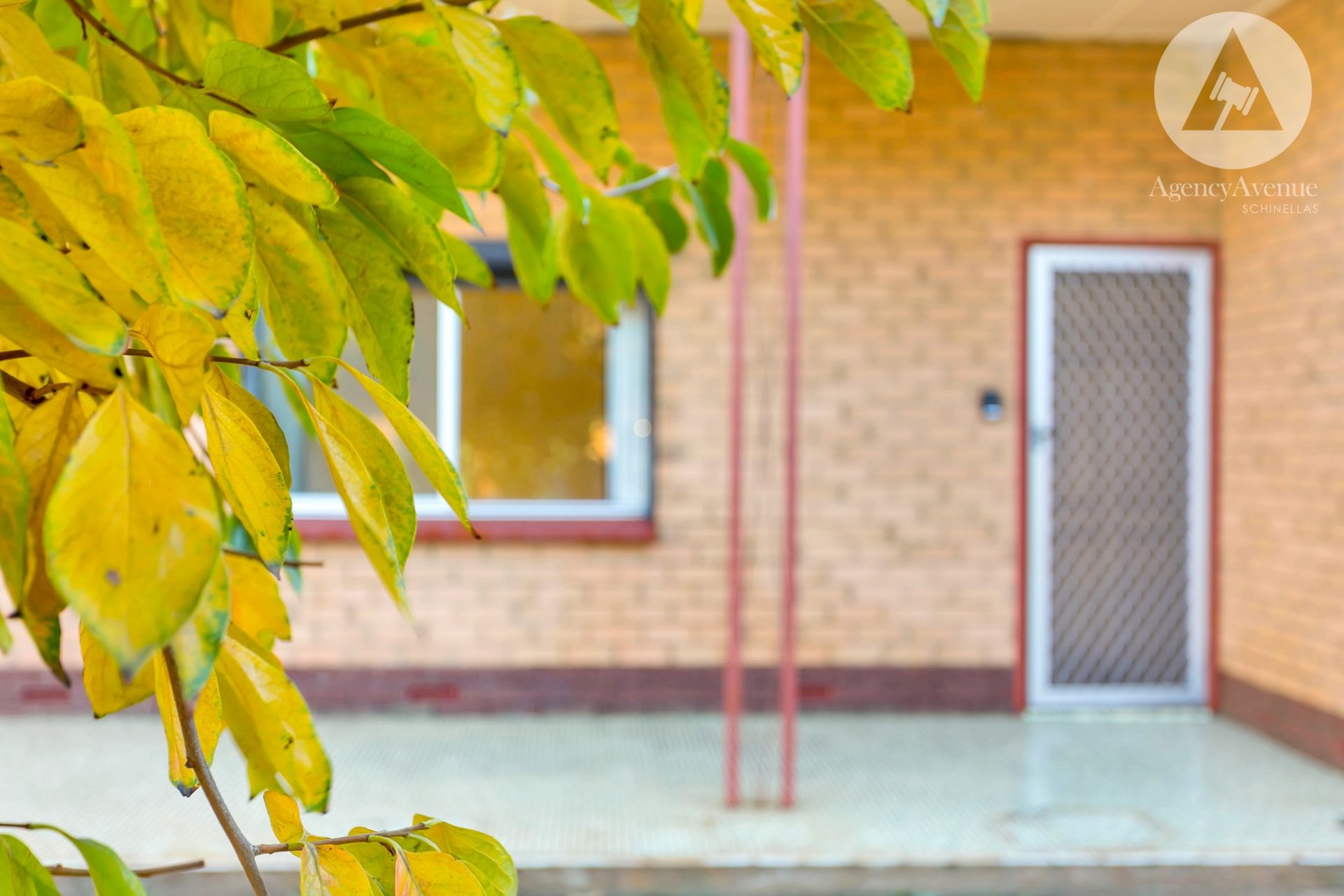 31 McDonnell Avenue, West Hindmarsh - Thumbnail 5