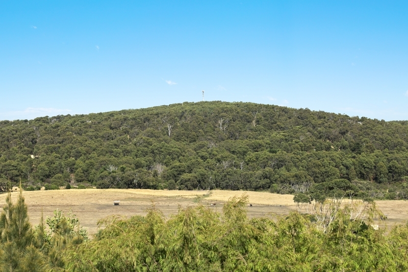 55 Pearse Road, Aireys Inlet, VIC, Aireys Inlet - Thumbnail 2