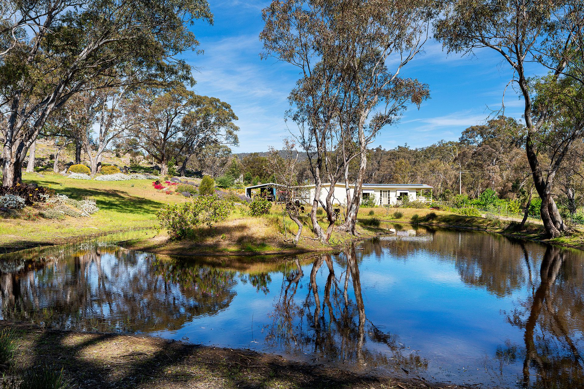 396 Bridgewater Maldon Road, Maldon - Thumbnail 5