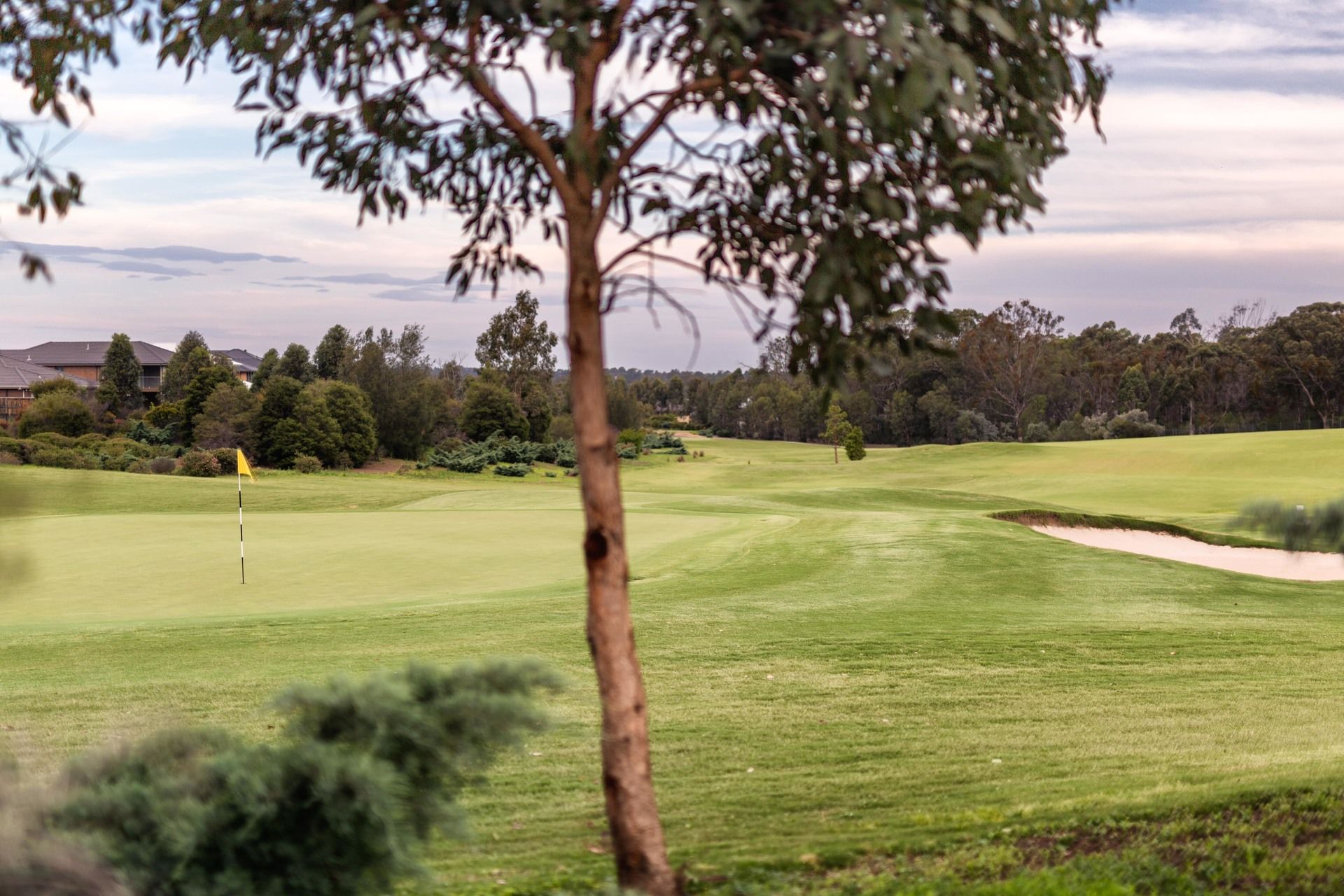 Colebee 5 Salvador Circuit