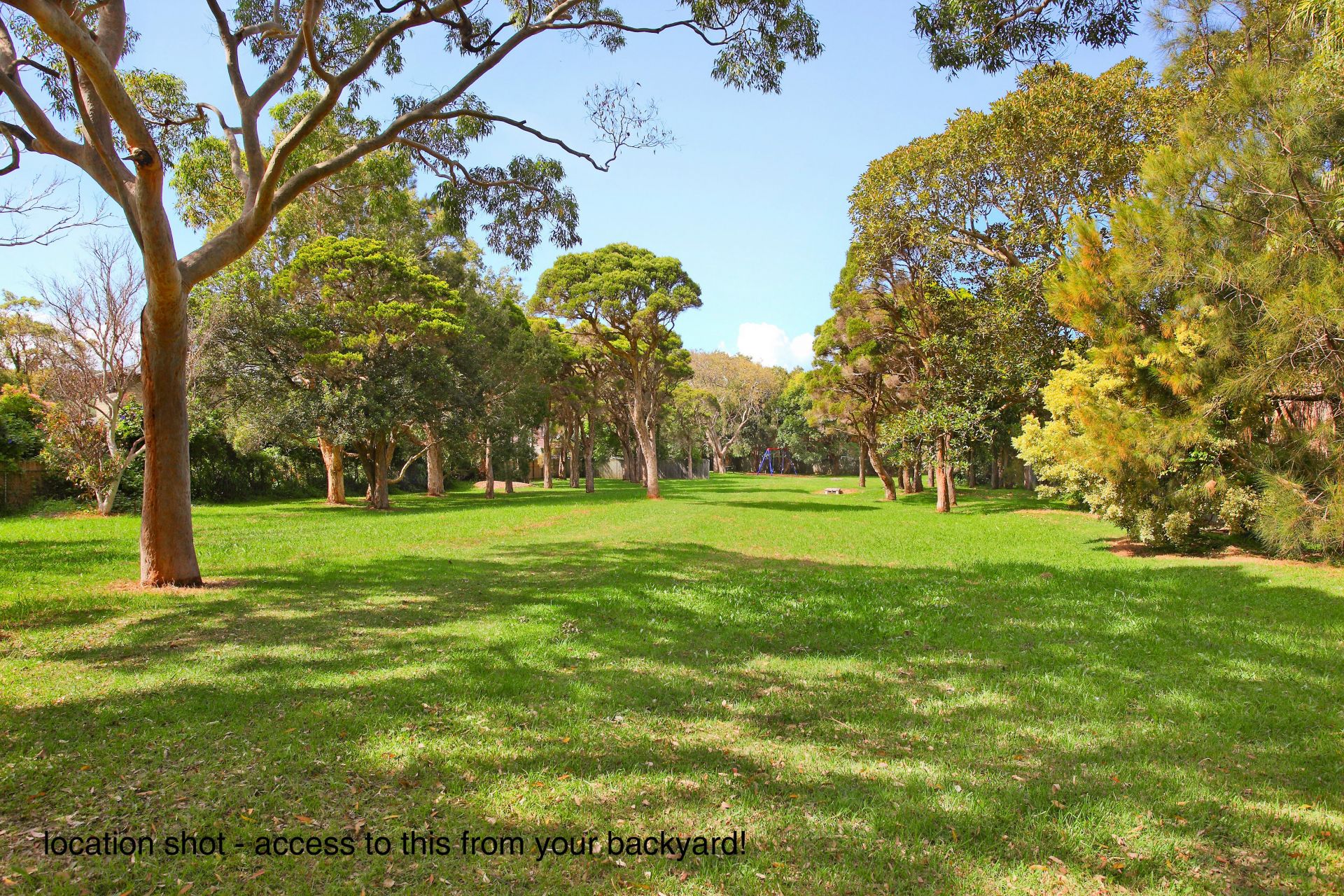 1A George Street Avalon NSW, Avalon - Thumbnail 3