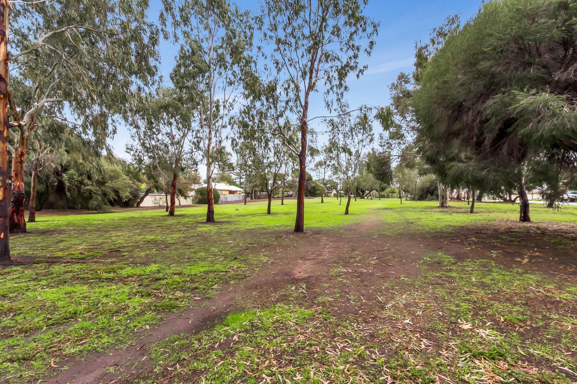 10 Chambers Street, Henley Beach - Thumbnail 5