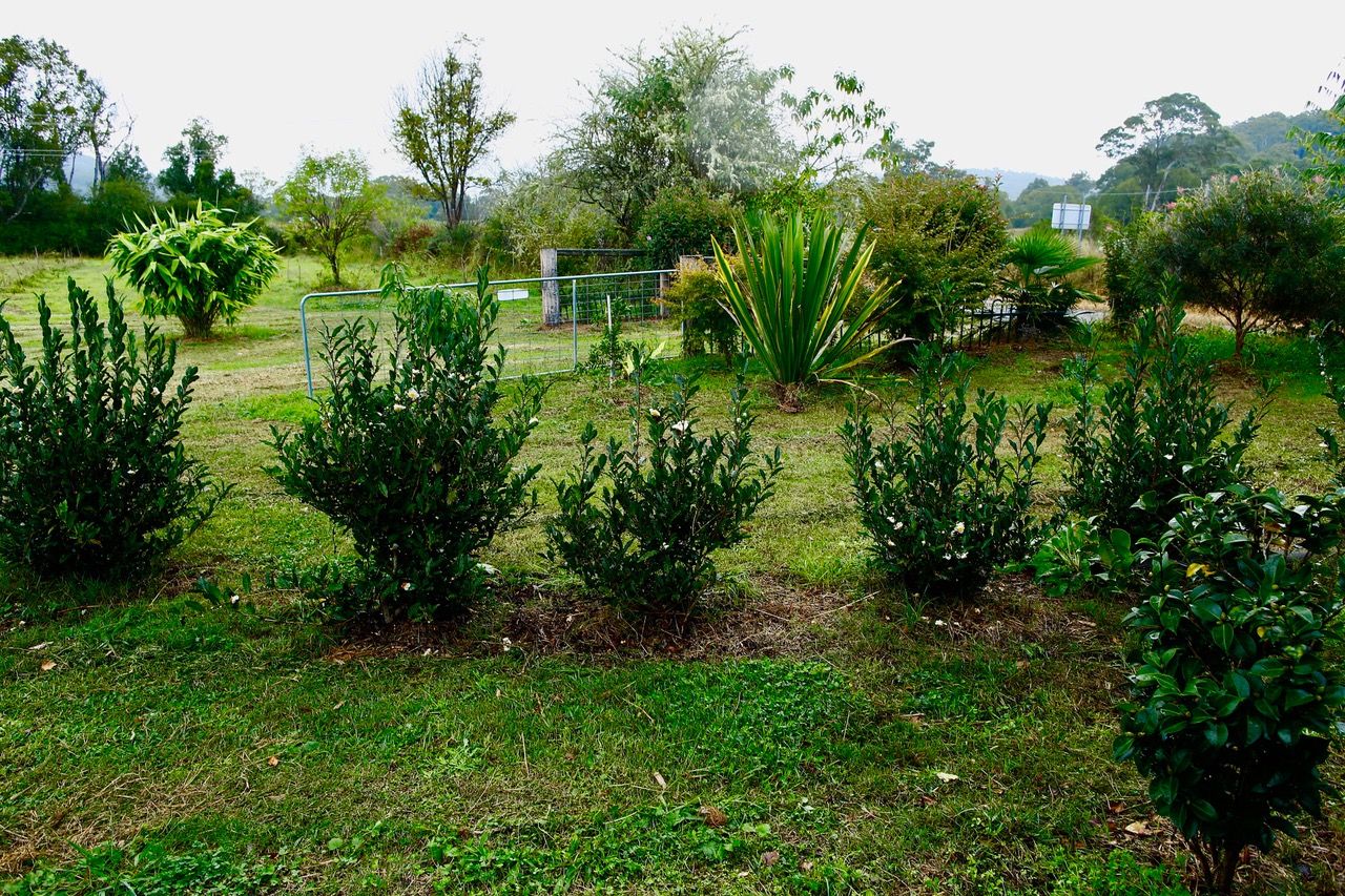 1 Upsalls Creek Rd, UPSALLS CREEK NSW 2439