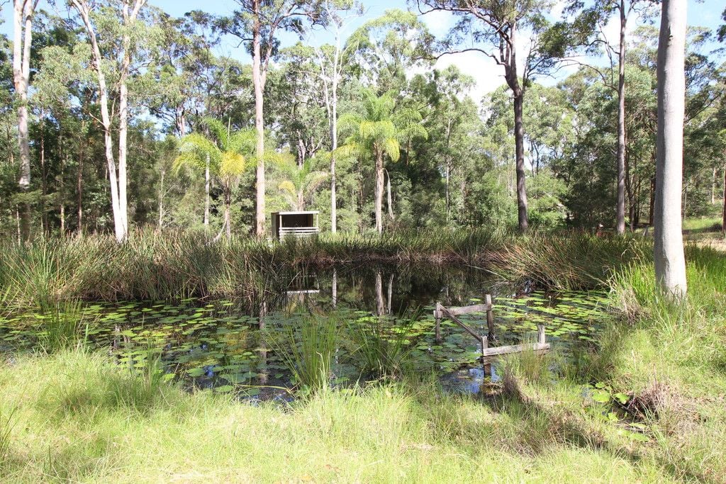 105 Quarry Rd, ROSEWOOD NSW 2446
