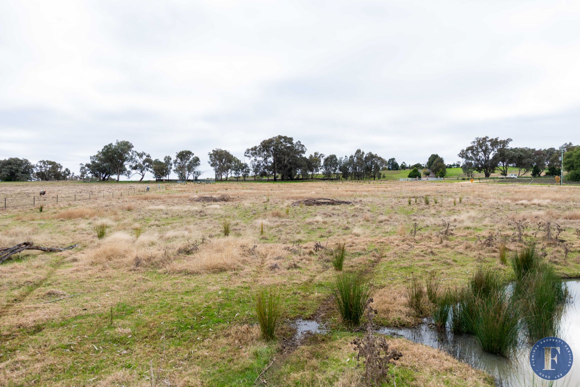 141 Forbes Lane, Young NSW, Young - Thumbnail 6