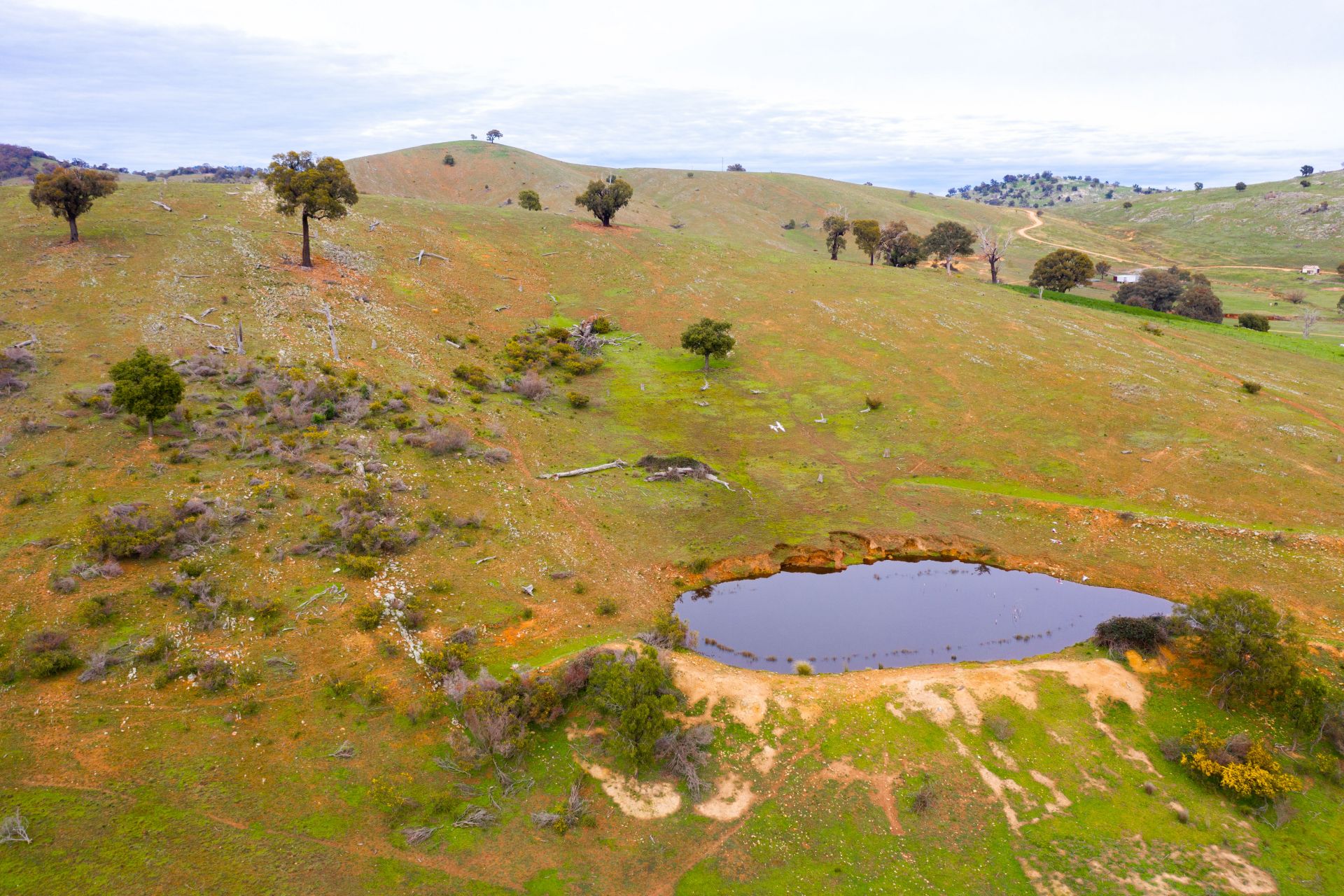 148 Mount Darling Road, Wyangala NSW, Wyangala - Thumbnail 3