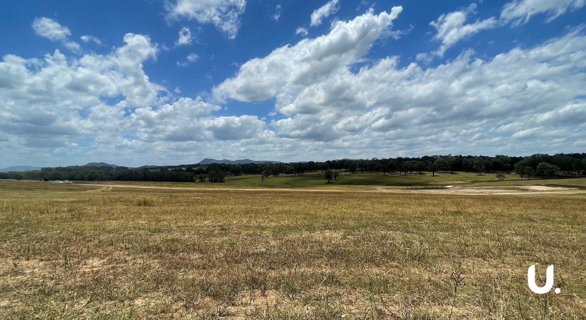 Branxton 20 Pistacia Grove