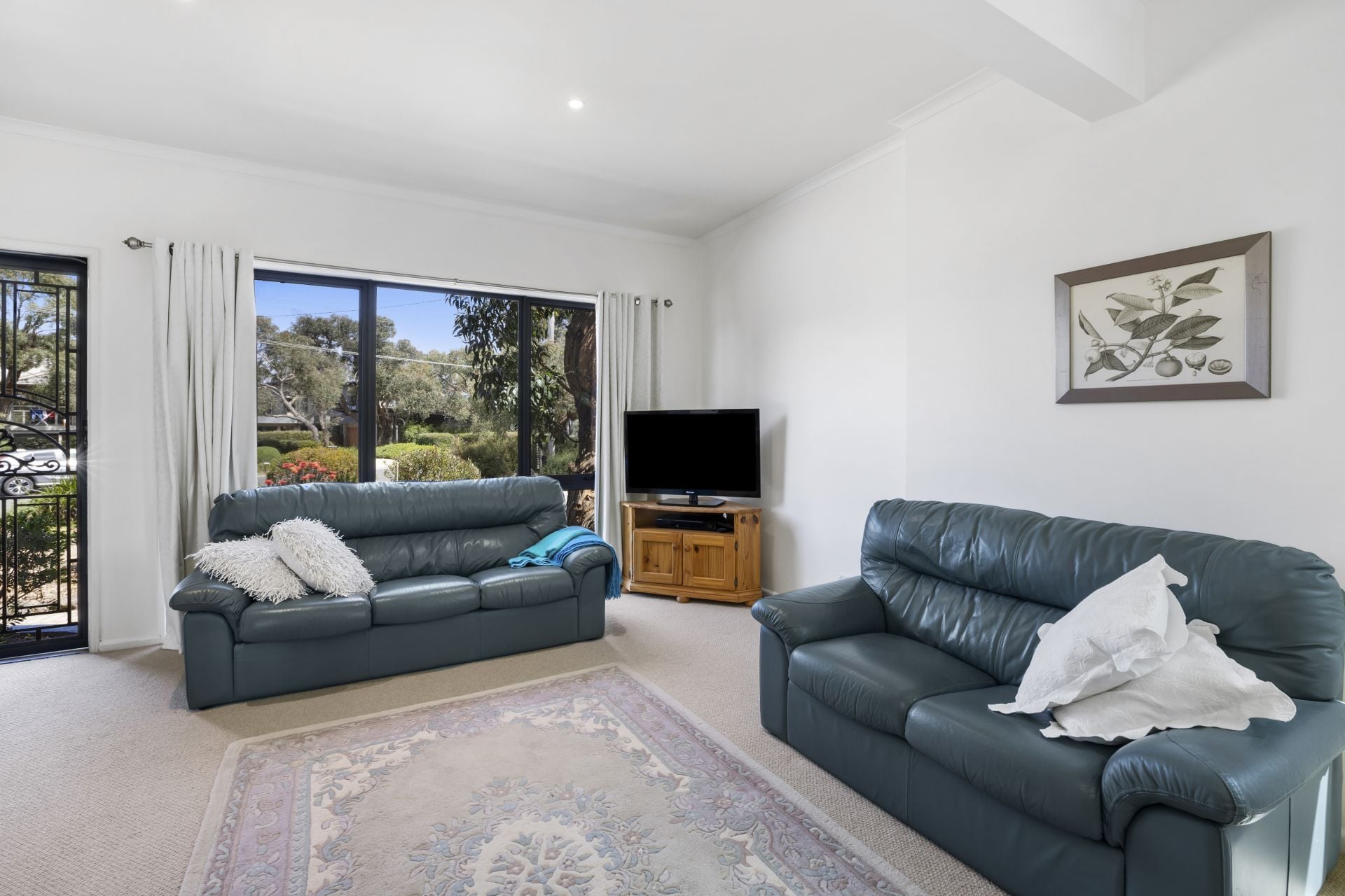 97 Harvey Street, Anglesea - Thumbnail 5