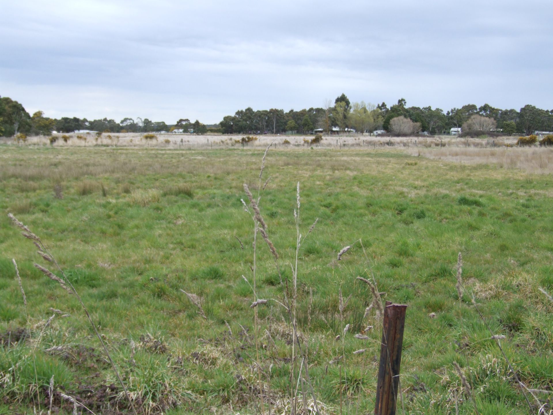 Lot 5 Section 9 Yendon No 2 Road, Yendon - Thumbnail 2