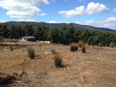 49 Roope Road, Lower Barrington, Lower Barrington - Thumbnail 6