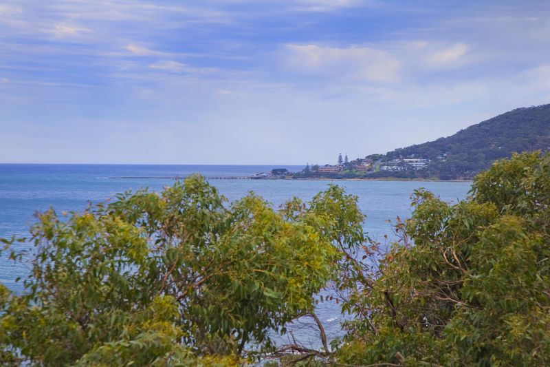 92 Dorman Street, Lorne, VIC, Lorne - Thumbnail 7