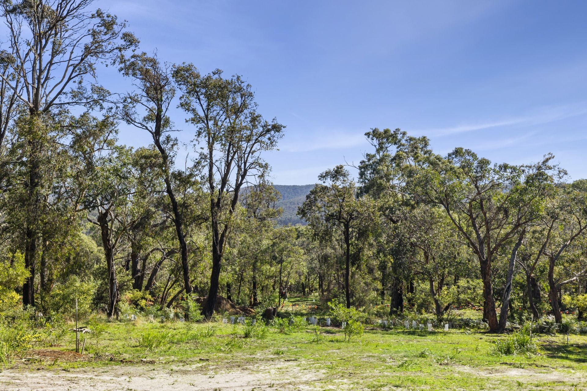 Real Estate For Sale 49 Hopkins Street Aireys Inlet , VIC