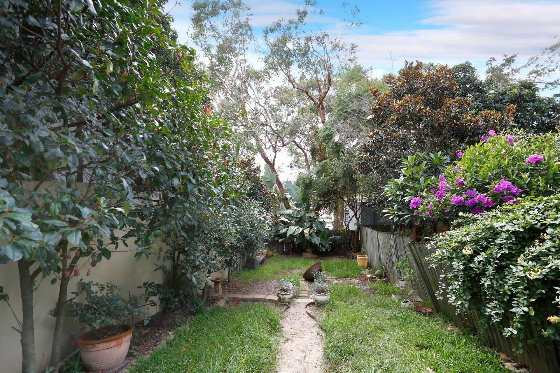 4 Roscoe Street, Bondi Beach, Bondi Beach - Thumbnail 8