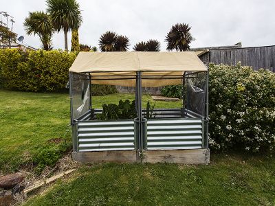60 John Street, EAST DEVONPORT, East Devonport - Thumbnail 6