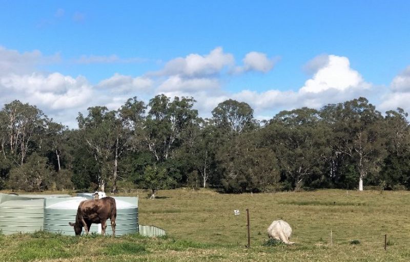 Real Estate For Sale Woodford , QLD