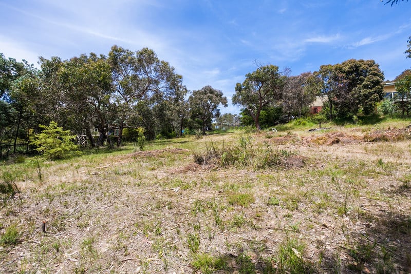 12 Bachli Court, Anglesea, VIC, Anglesea - Thumbnail 4