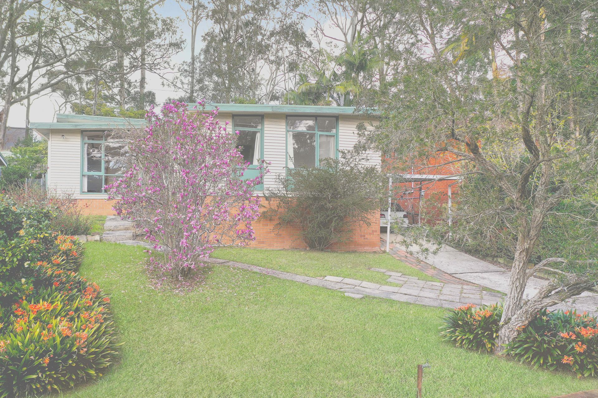 29 Gilgandra Avenue, Thornleigh Allen & Sheppard