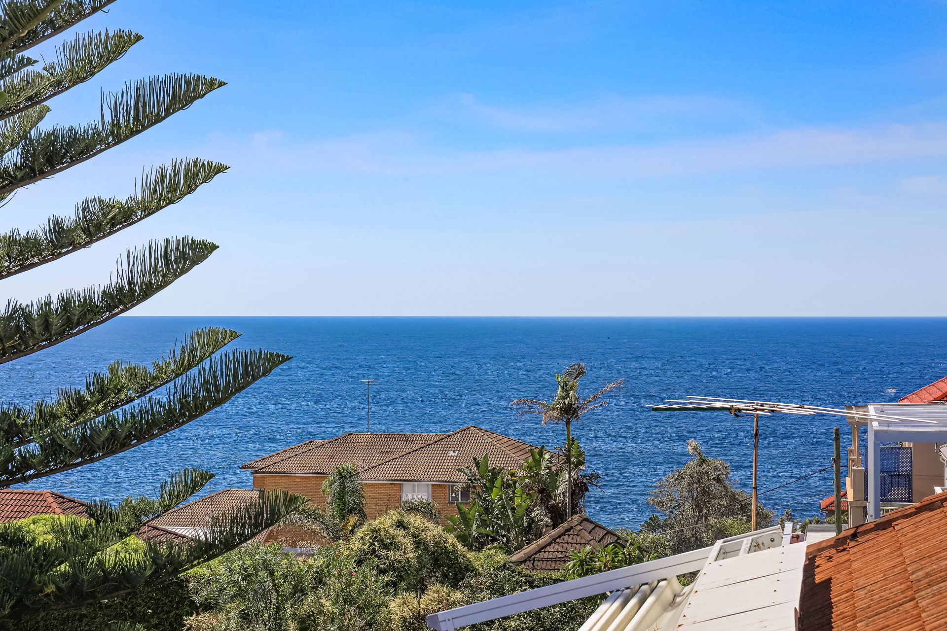 263 Military Road, Dover Heights, Dover Heights - Image 1