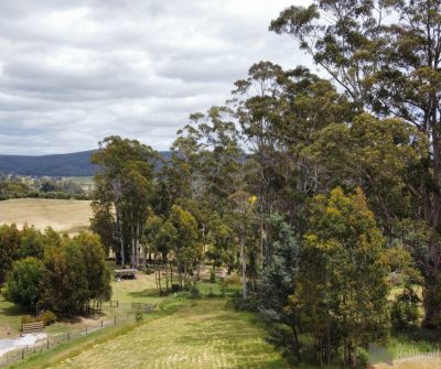 280A Kelcey Tier Road, Spreyton, Spreyton - Thumbnail 6