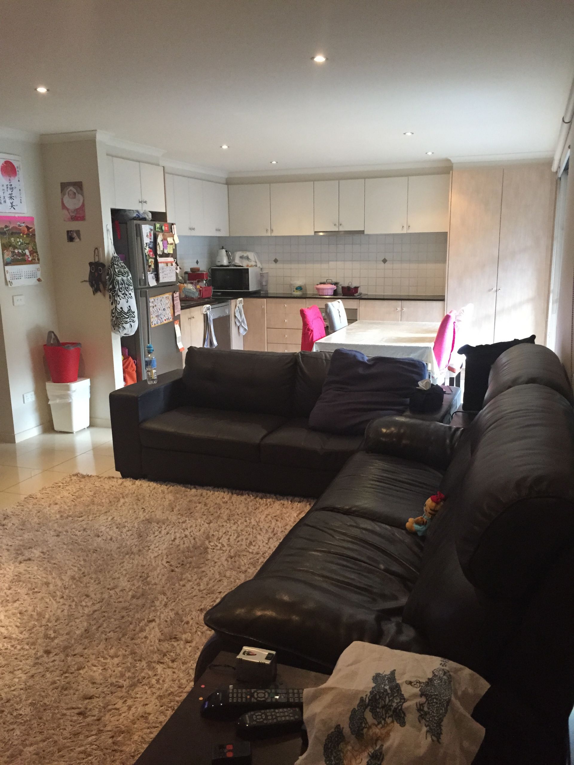Large Modern Apartment