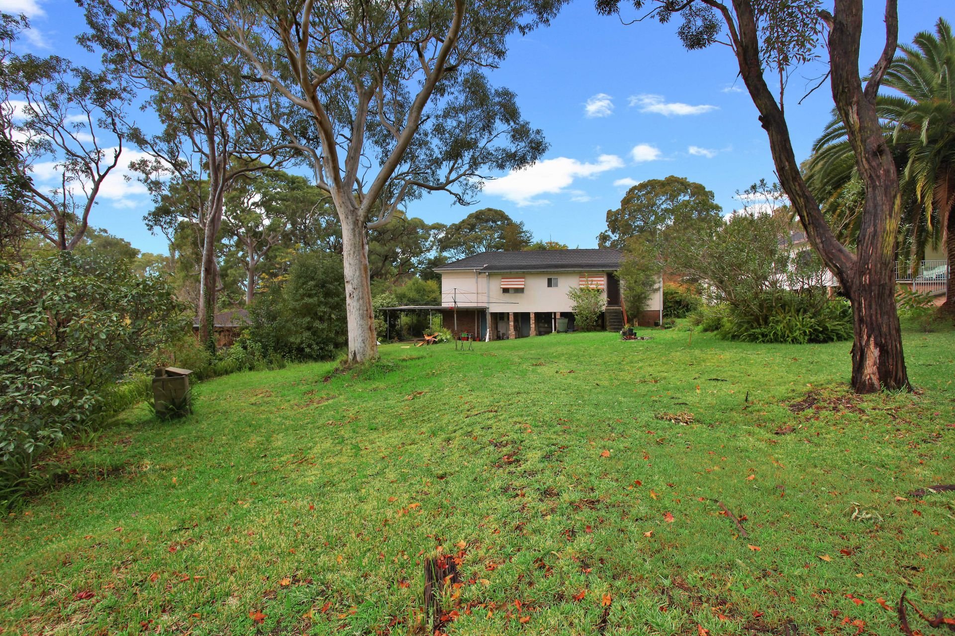 5 Oakwood Street, Sutherland Brookes Partners Real Estate