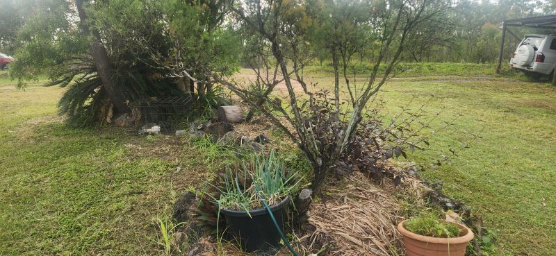 206 Delan Road, Bullyard, Bullyard - Thumbnail 7