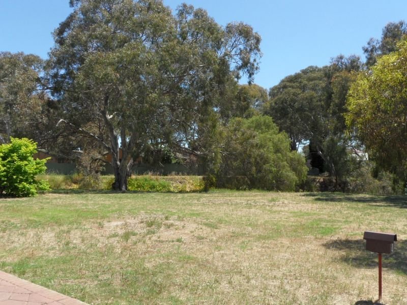 4 Ayr Street  Pooraka 5095