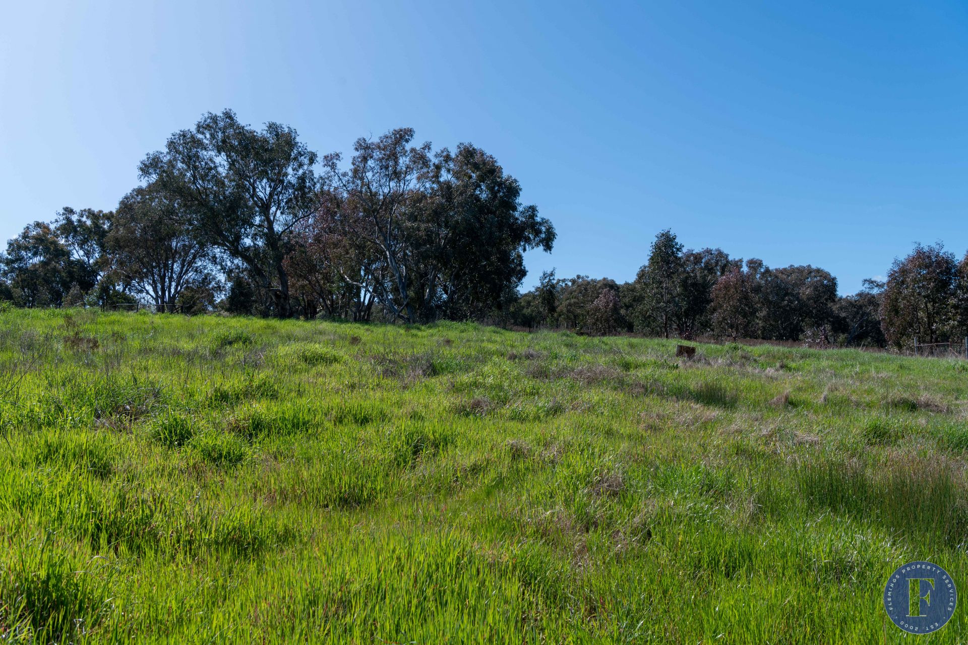 254 Frogmore Road, Frogmore NSW, Frogmore - Thumbnail 7