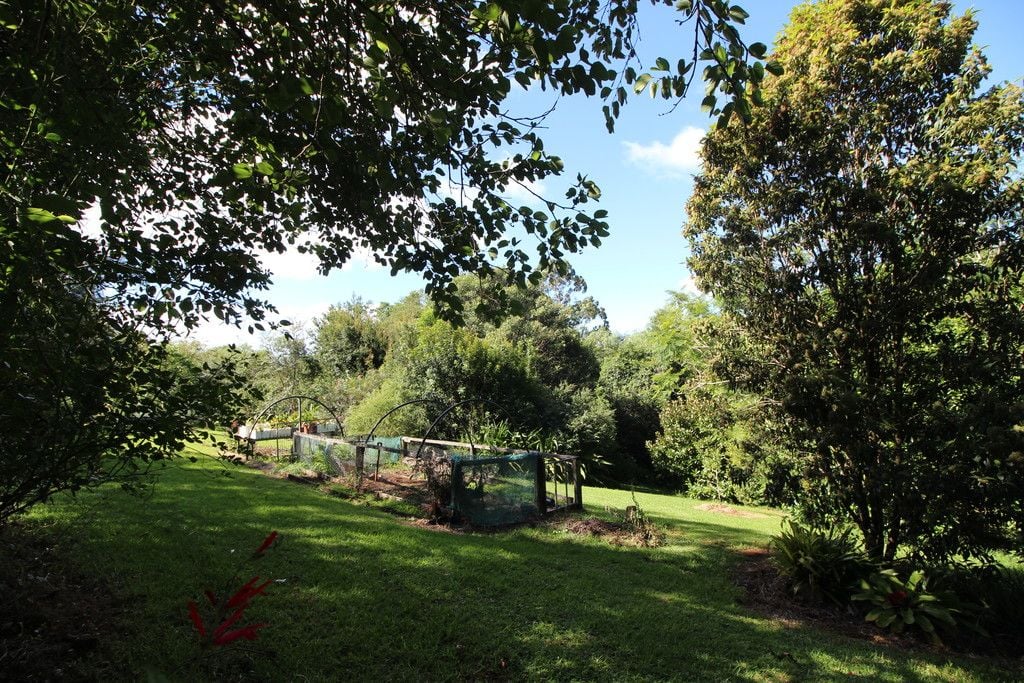 389 Playfords Road, COMBOYNE NSW 2429
