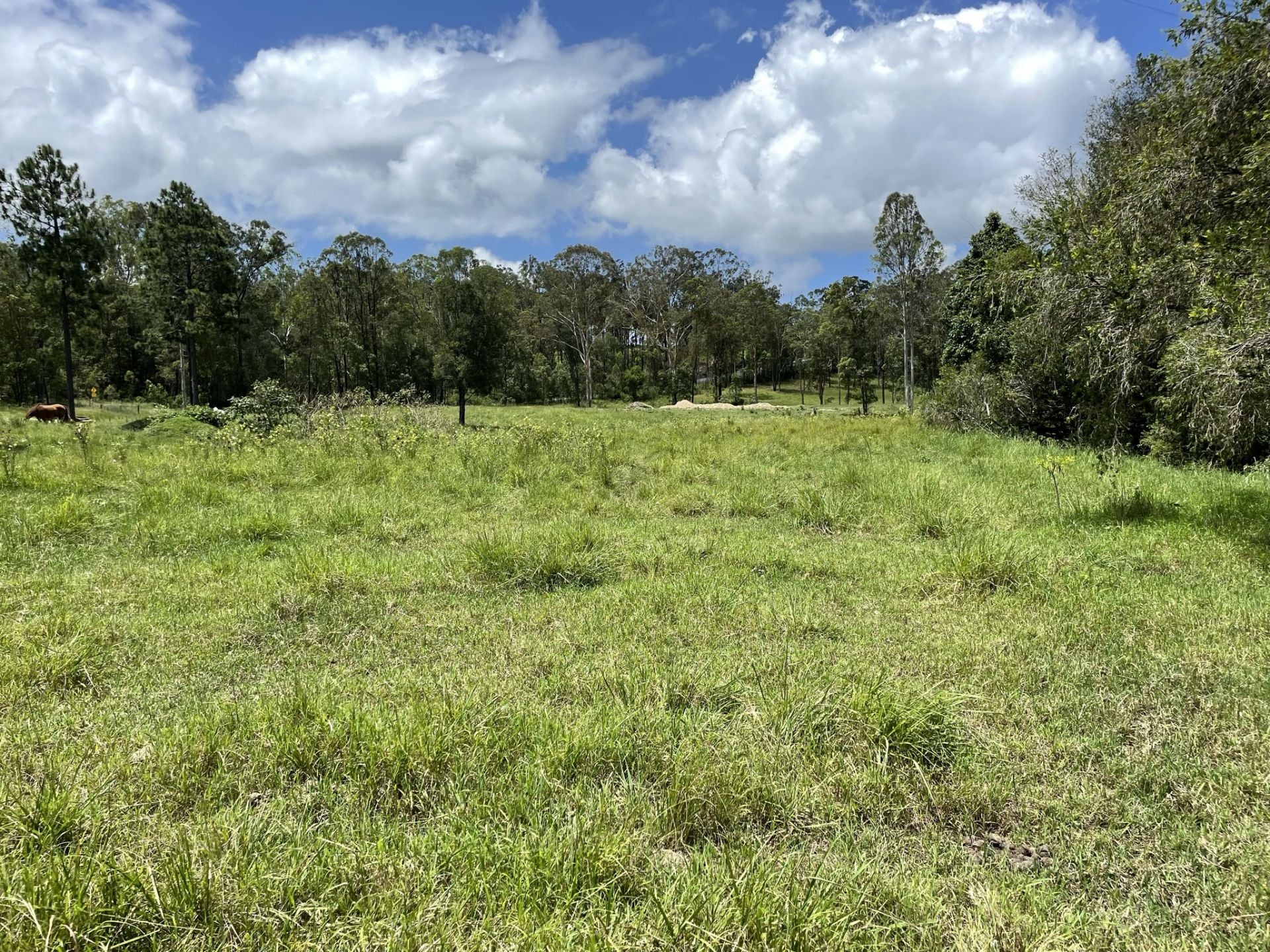 385 Raynbird Road Narangba QLD, Narangba - Thumbnail 6