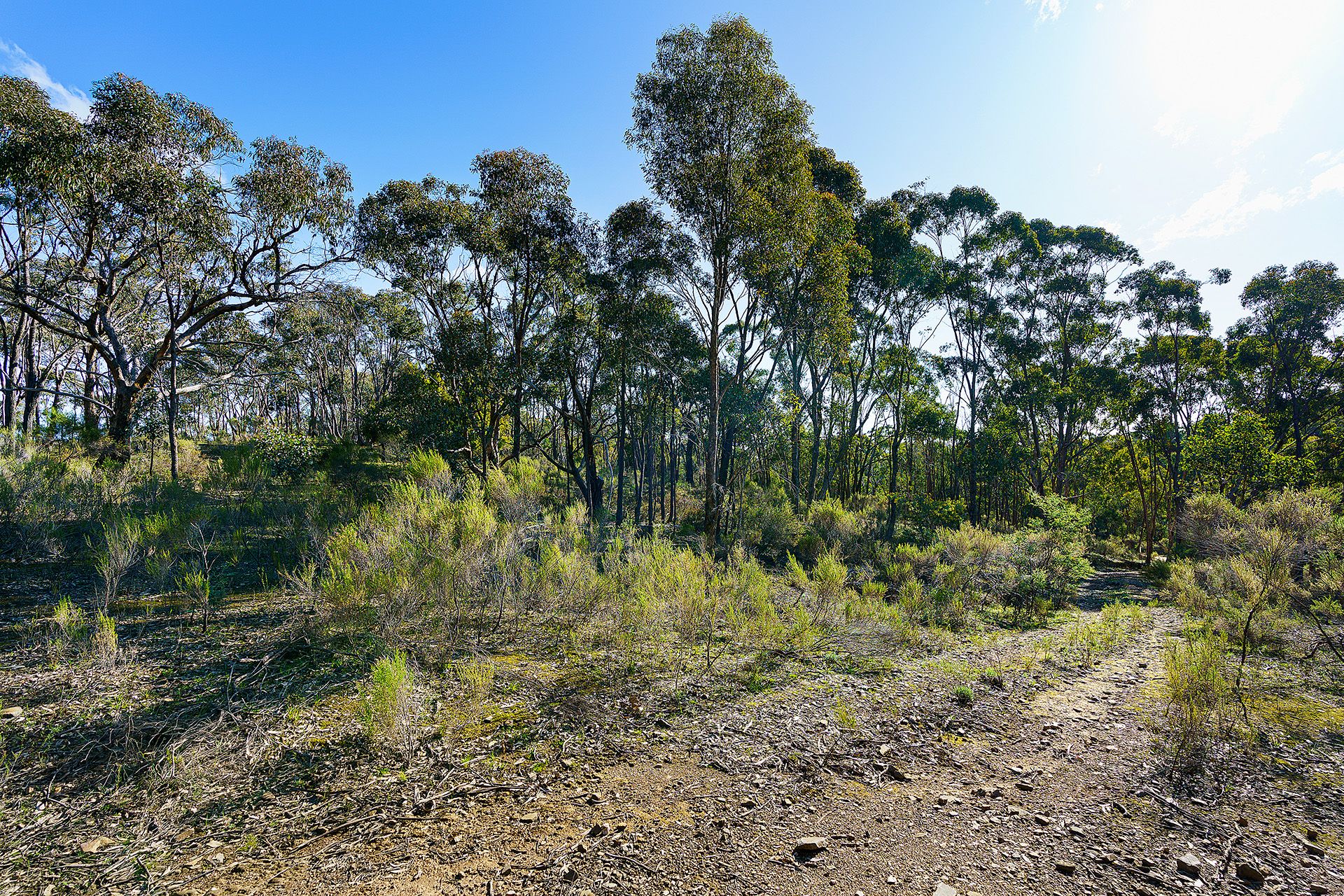 32 Dishpan Gully Road Chewton Bushlands, Chewton Bushlands - Thumbnail 7