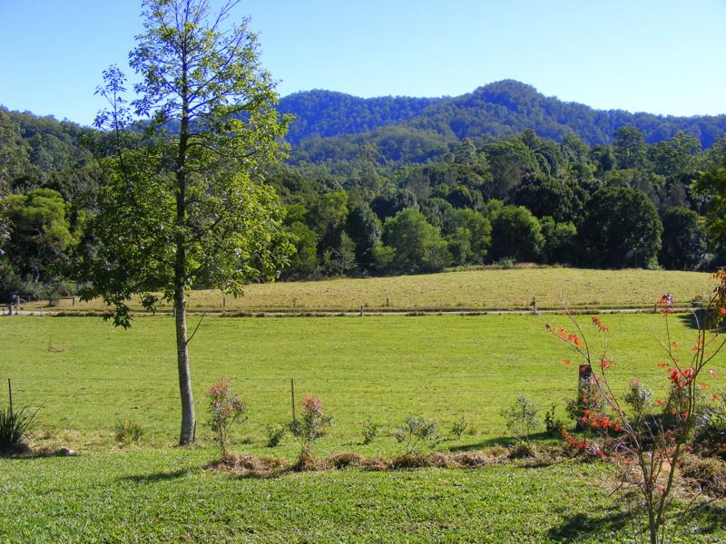 Real Estate For Sale 1537 Kalang Road Kalang Bellingen , NSW