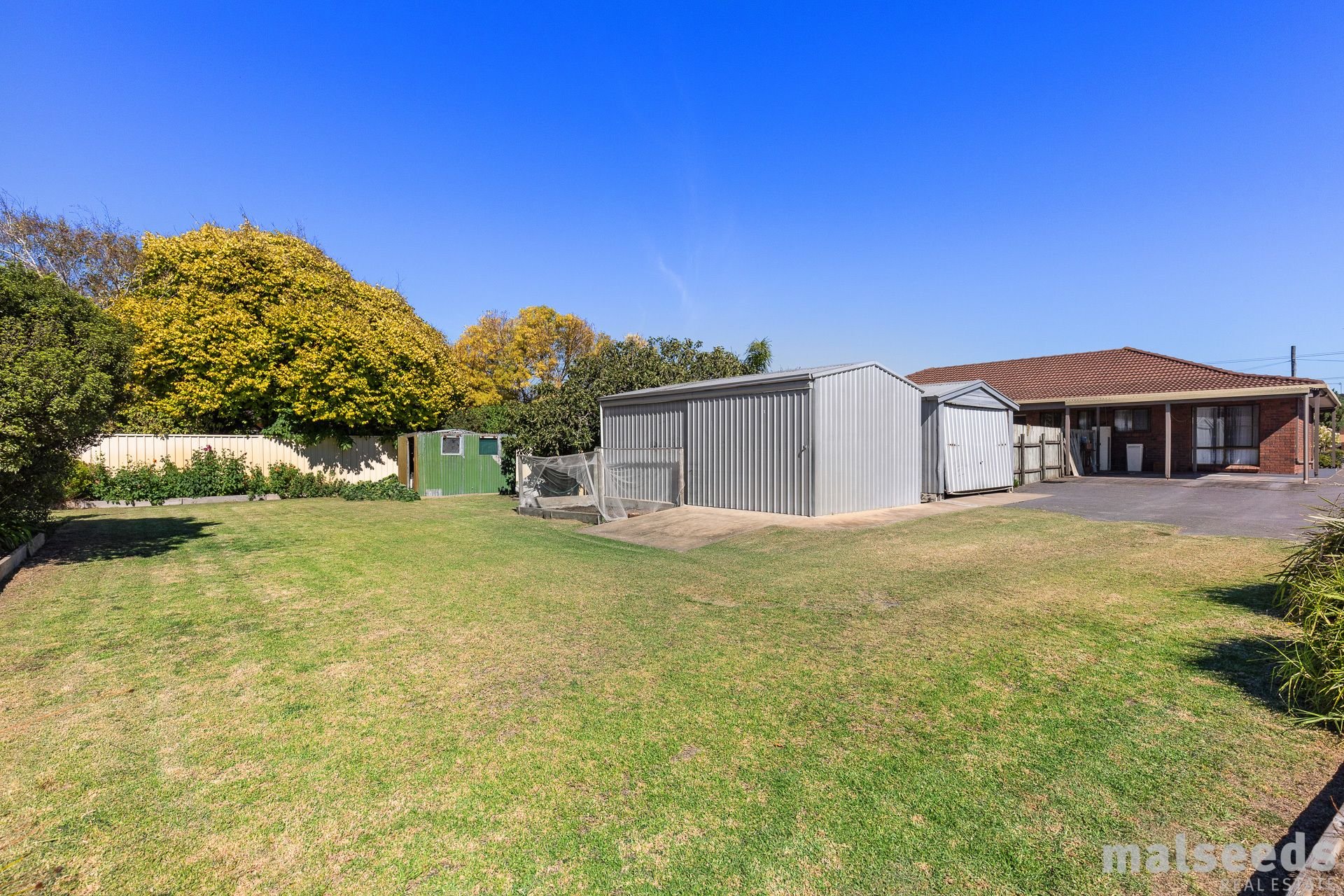56 Williams Road, Millicent Malseeds Real Estate