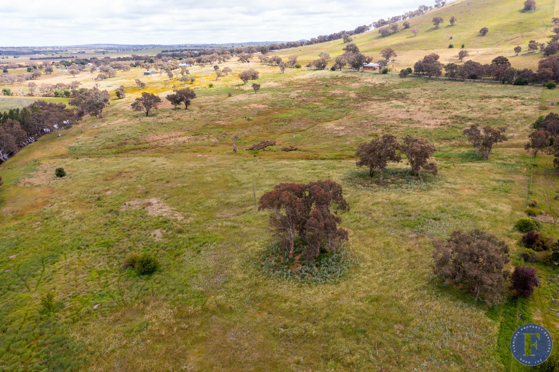 102 Brial Road, Boorowa NSW, Boorowa - Thumbnail 5