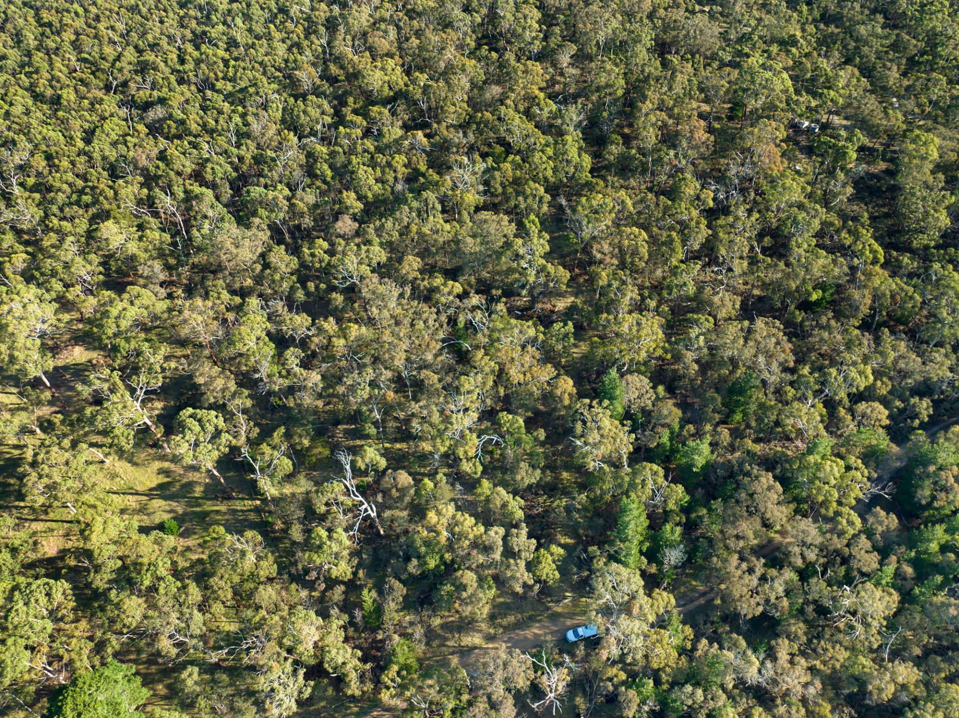 Lot 18 Spearys Road, Dereel, Dereel, Dereel - Thumbnail 2