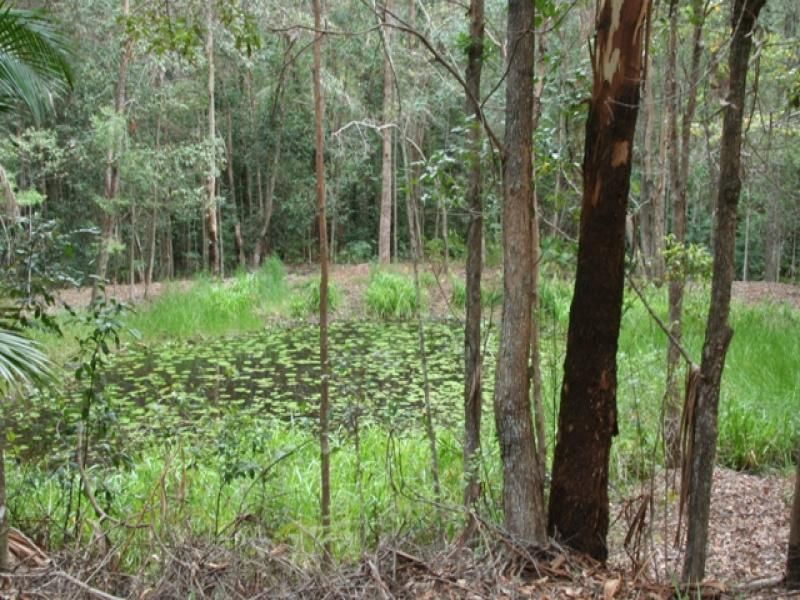 Smiths Road TINBEERWAH QLD, Tinbeerwah - Thumbnail 4
