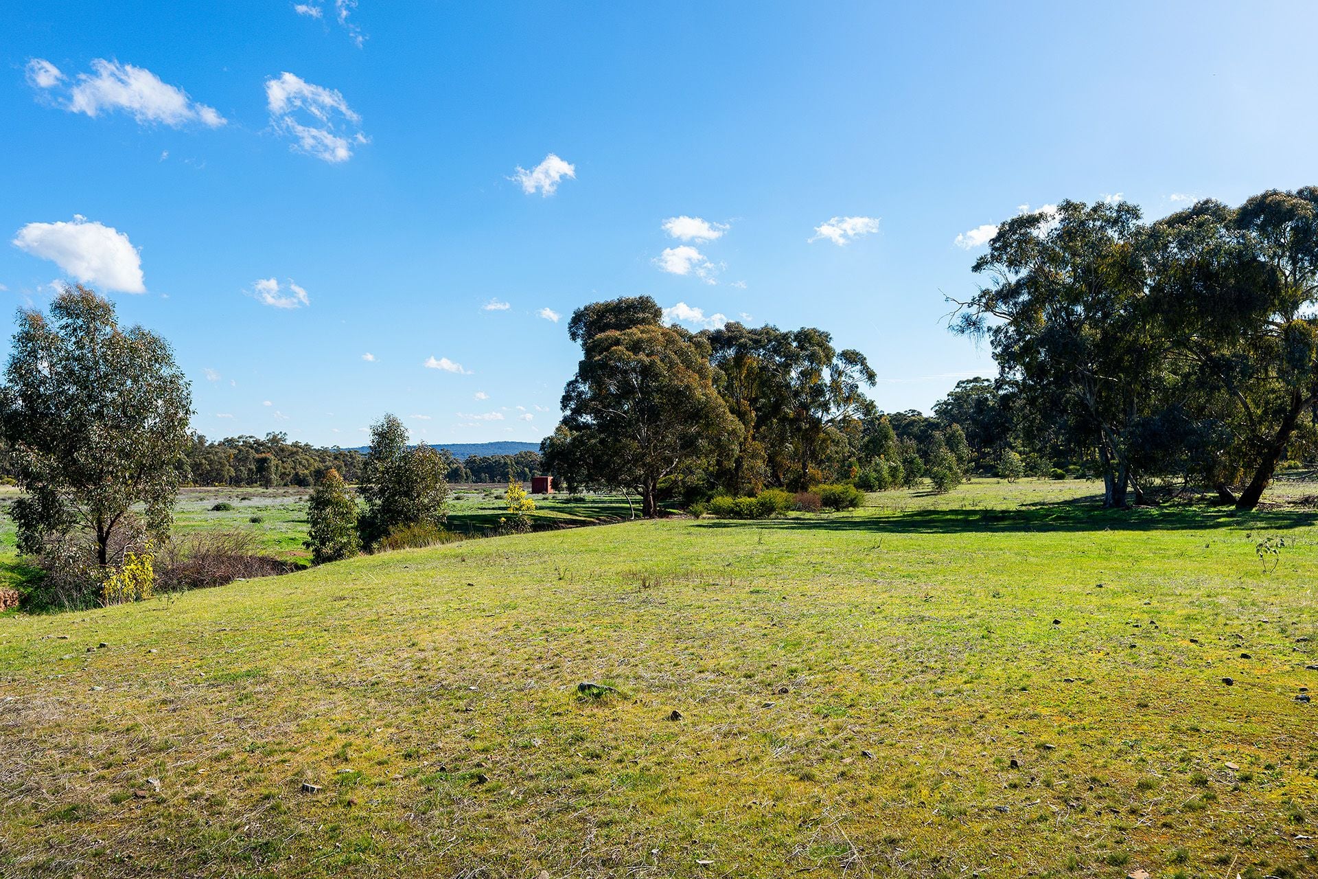 Lot 5, 58 Main Street Eldorado, Harcourt - Thumbnail 7