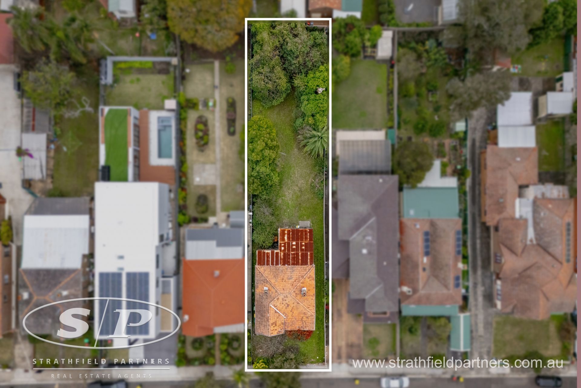 21 Angelo Street, Burwood, Burwood - Thumbnail 5