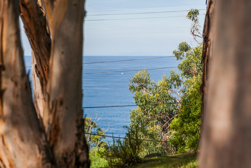 10 Cassidy Drive, Kennett River, VIC, Kennett River - Thumbnail 7