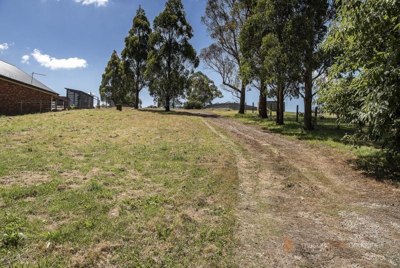 11 Bald Spur Road Kinglake Central VIC, Kinglake Central - Thumbnail 6