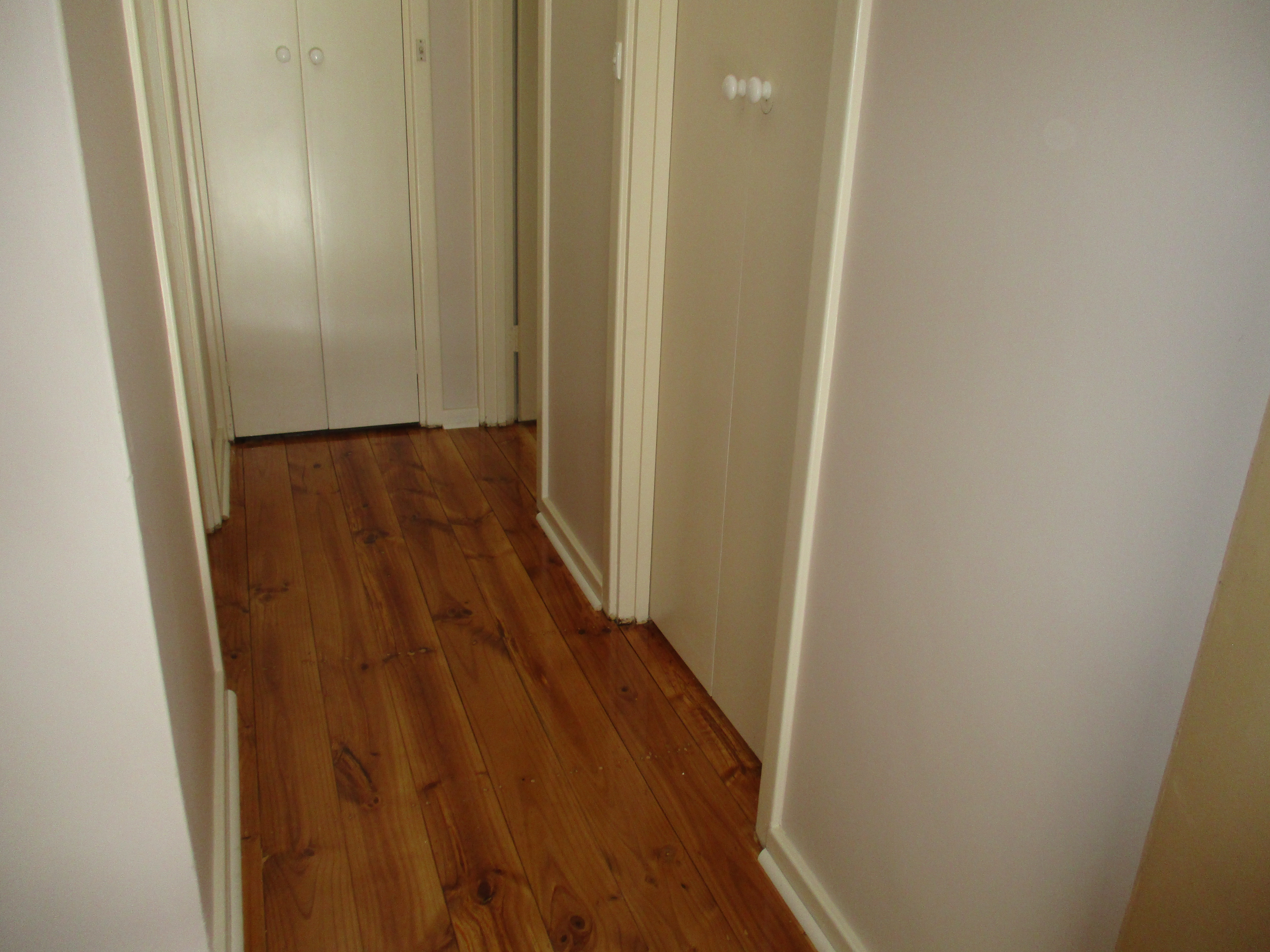 4 Kathleen Street  Dover Gardens 5048