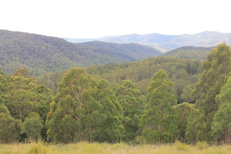 , YARROWITCH NSW 2354