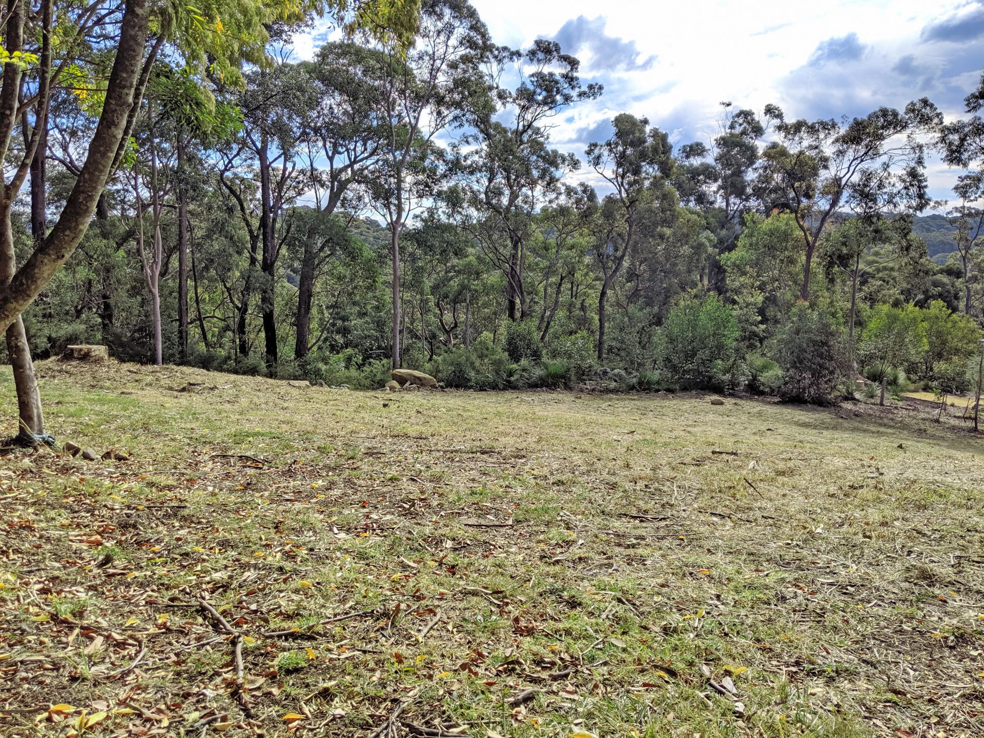 12 Coach House Road, Kurrajong Heights - Thumbnail 4