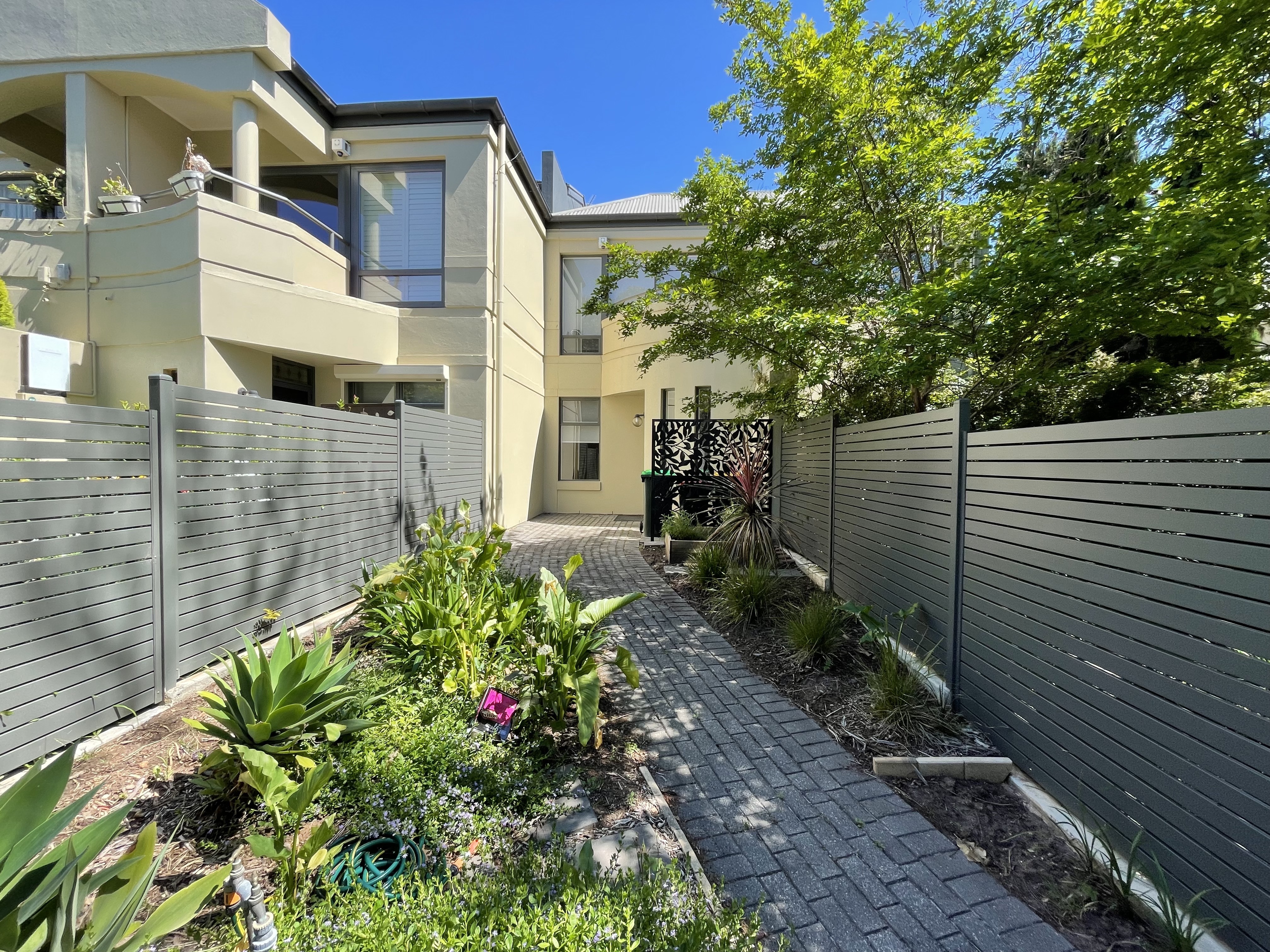 172 Mackinnon Parade North Adelaide 5006