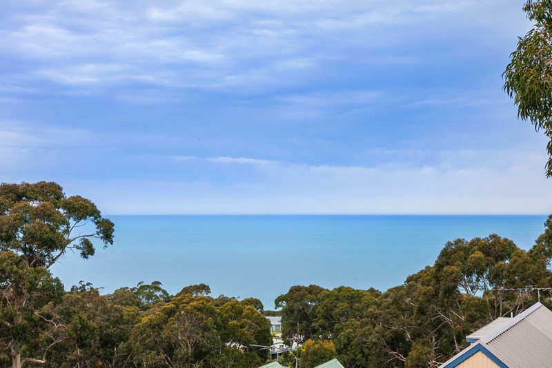 24 Normanby Terrace, Lorne, VIC, Lorne - Thumbnail 7